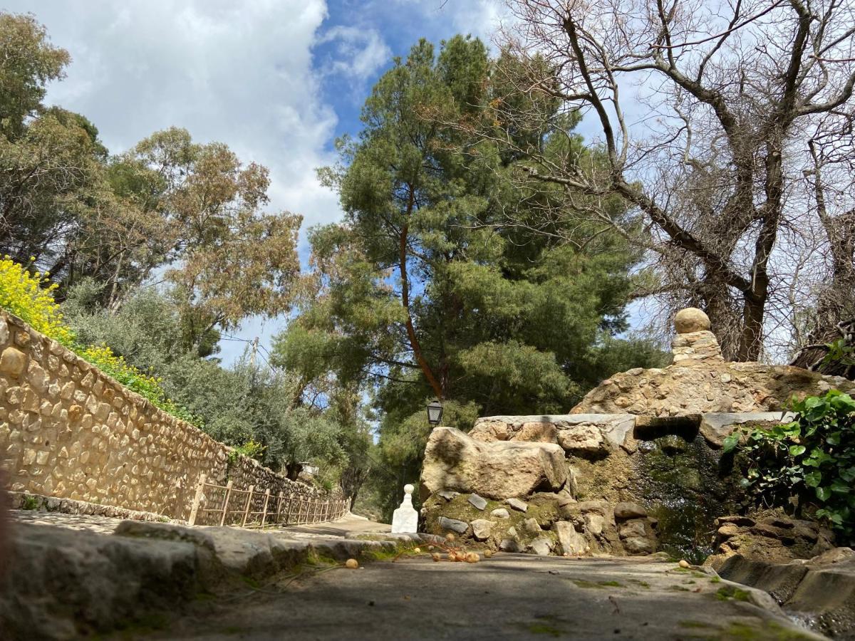Bedmar y Garciez Hostal Rural De Cuadros المظهر الخارجي الصورة