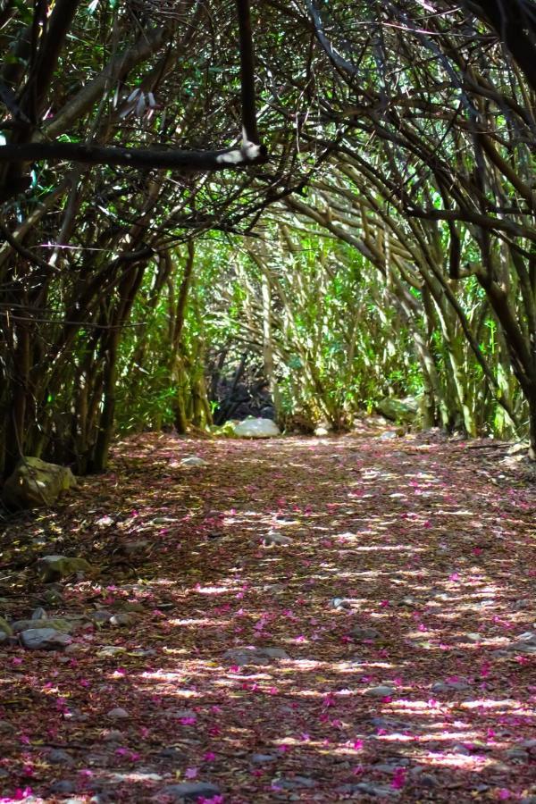 Bedmar y Garciez Hostal Rural De Cuadros المظهر الخارجي الصورة