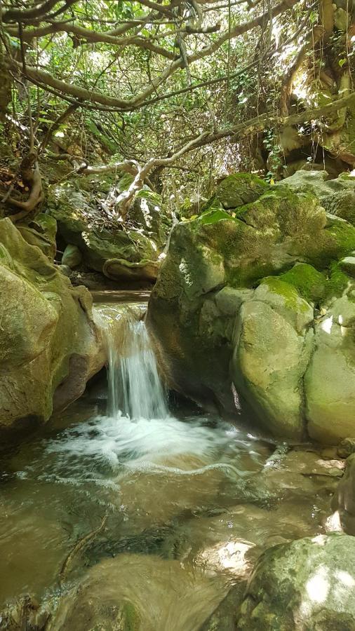 Bedmar y Garciez Hostal Rural De Cuadros المظهر الخارجي الصورة