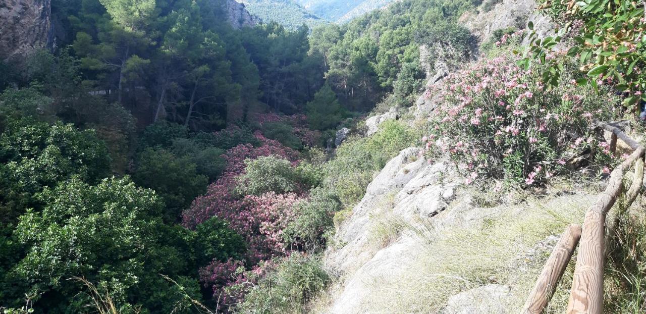 Bedmar y Garciez Hostal Rural De Cuadros المظهر الخارجي الصورة