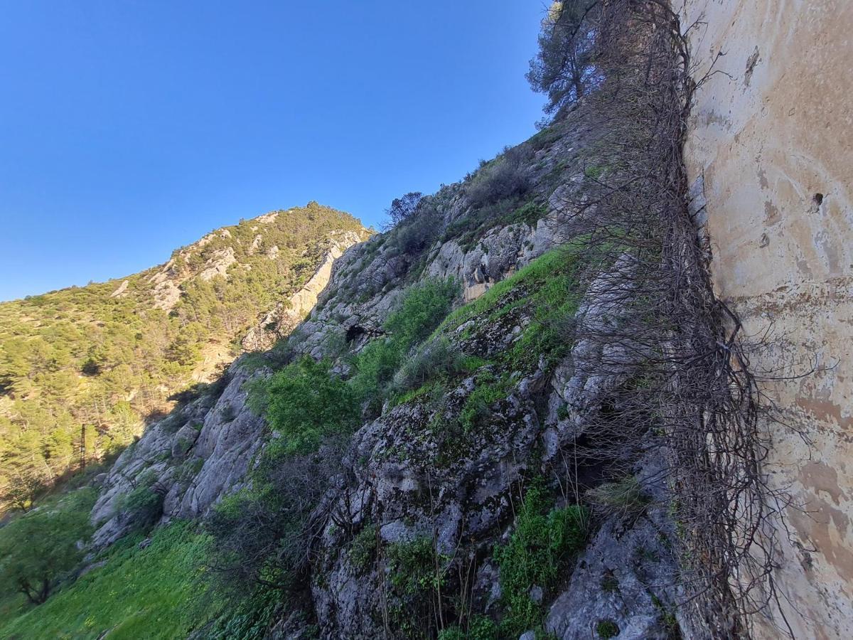 Bedmar y Garciez Hostal Rural De Cuadros المظهر الخارجي الصورة